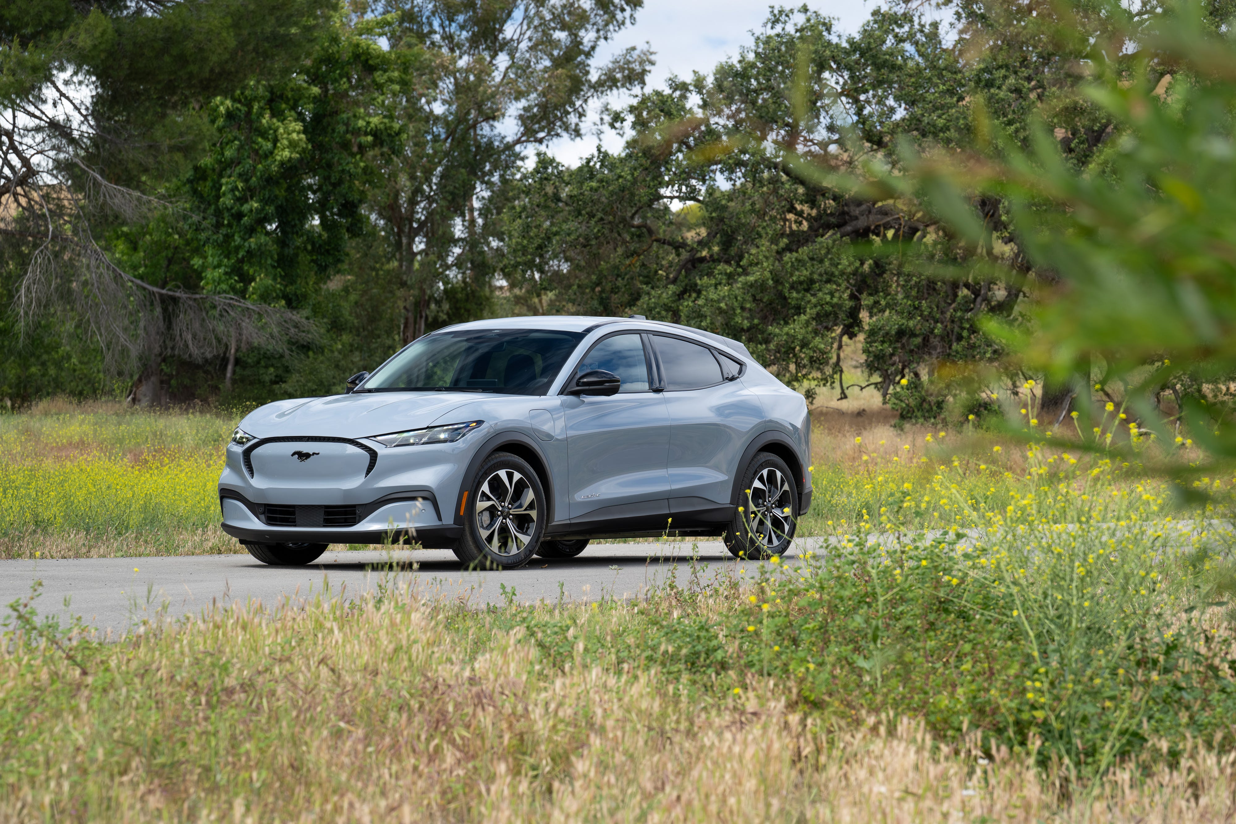 2026 Ford Mustang Mach-E: Full Review, Pricing, and Specs