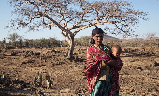 El Niño Confirmed: How the 2023 Climate Phenomenon Will Reshape Global Weather Patterns