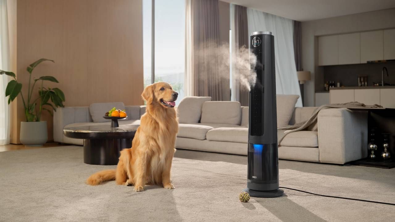 Best Cooling Fans That Are Brilliant Alternatives to Air Conditioning