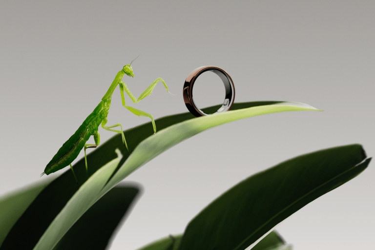 Oura Ring 5 Review: The World's Smallest Smart Ring Redefines Health Tracking