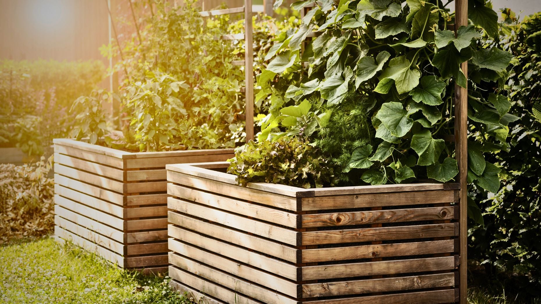 The Longevity Habit That's Reshaping What Home Buyers Want