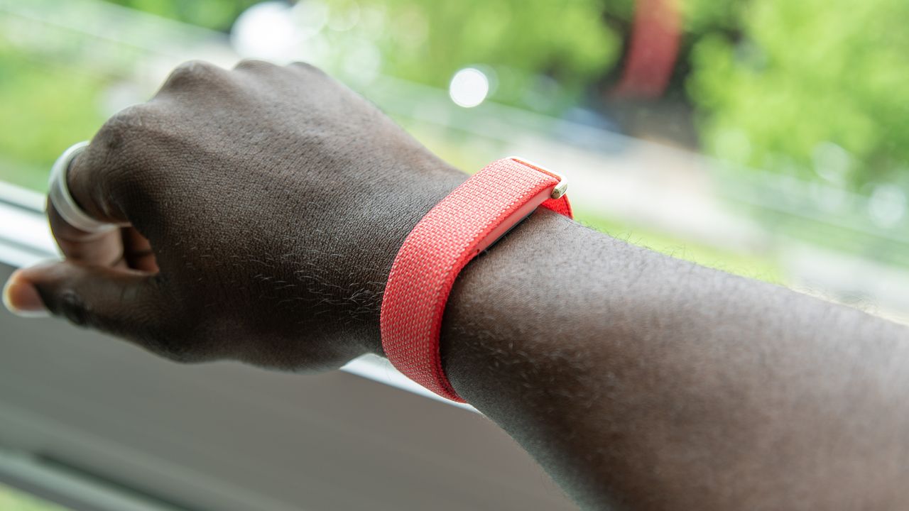 Which Fitbit Air Band Color Should You Buy? A Complete Guide