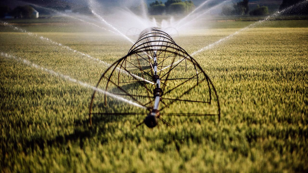 Amazon's Data Centers Use Just 0.075% of US Lawn Watering Supply — Here's What That Really Means