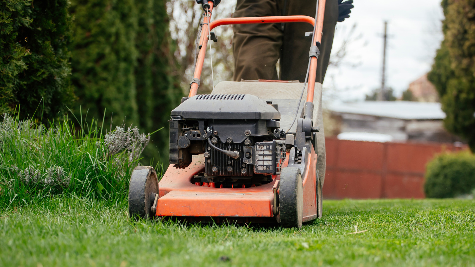 Why Americans Are Being Asked to Stop Mowing Their Lawns on Weekends