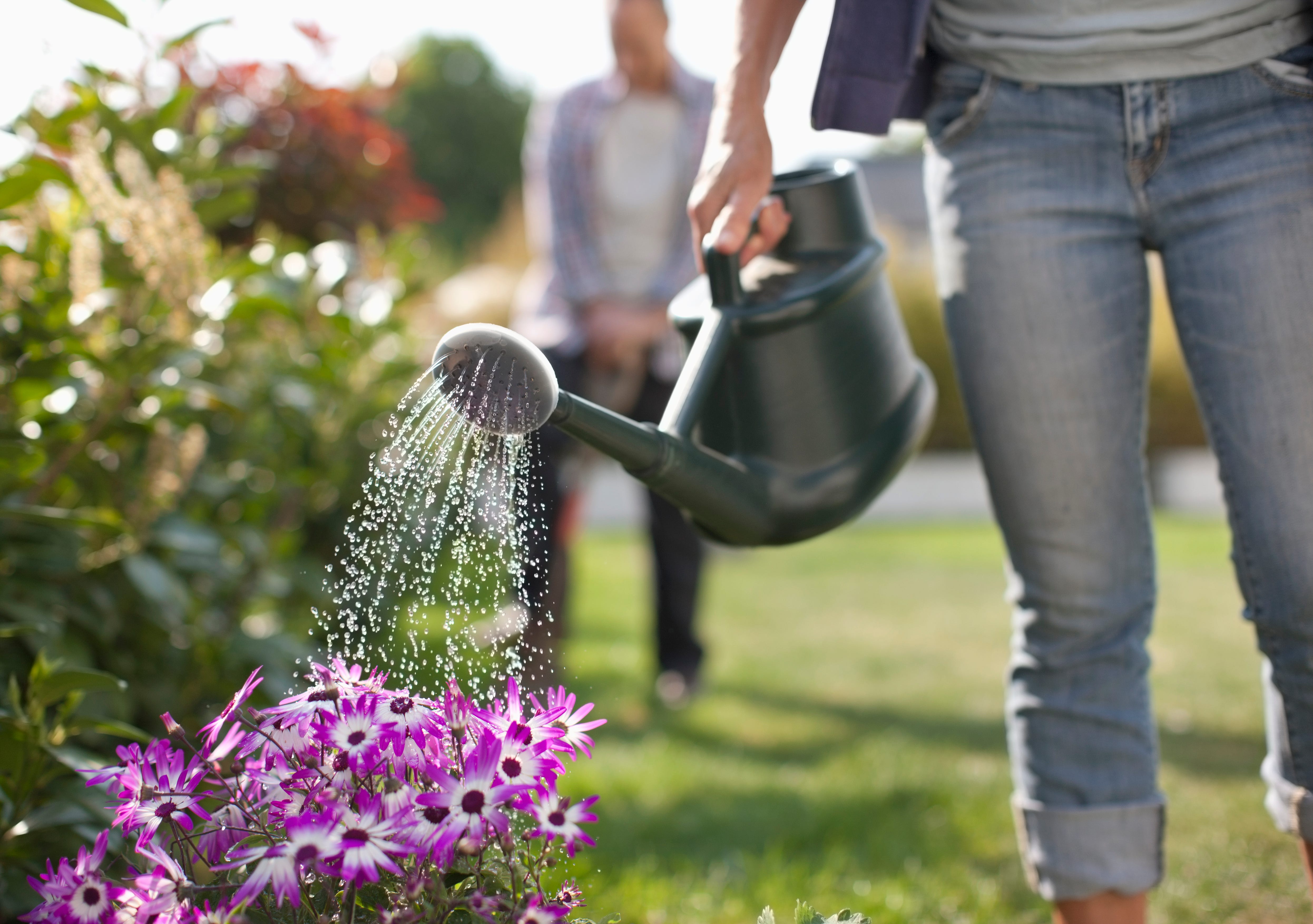 How to Use Less Water Outdoors (Without Sacrificing Your Lawn or Garden)