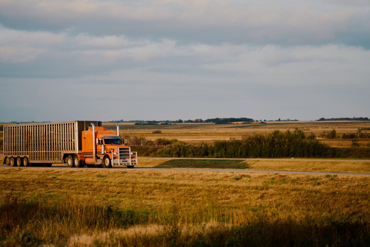 Canada's Driver Inc. Model Faces Renewed Scrutiny as Ottawa Expands Enforcement