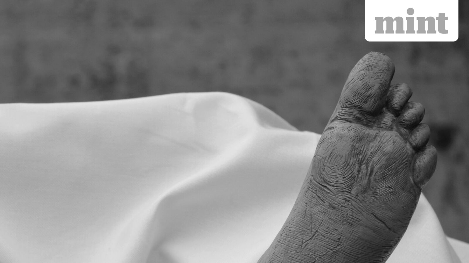 Delhi Tragedy: Lodhi Colony Wall Collapse During Sewer Work Kills Worker, Injures Two