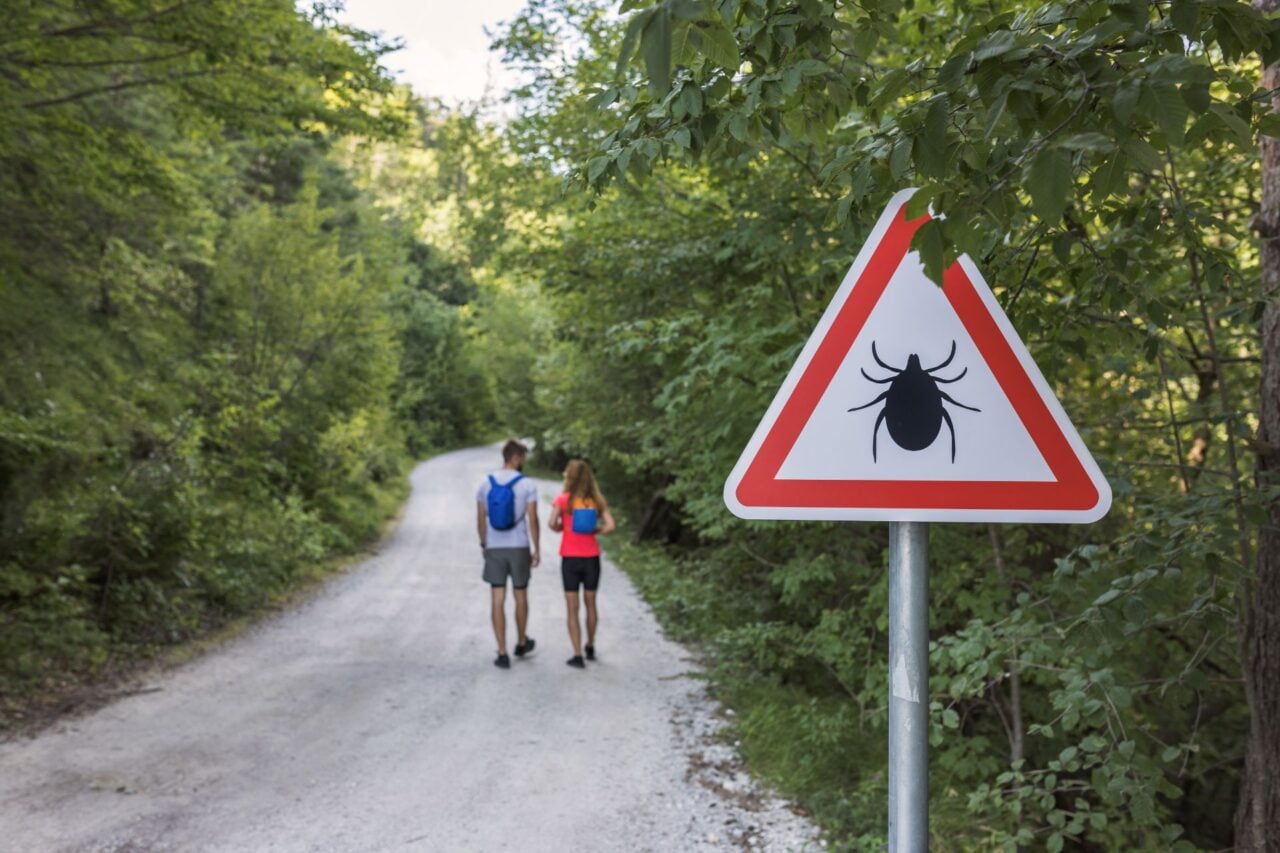 New York's Latest Tourist? A Rare, Potentially More Severe Form of Lyme Disease Has Arrived