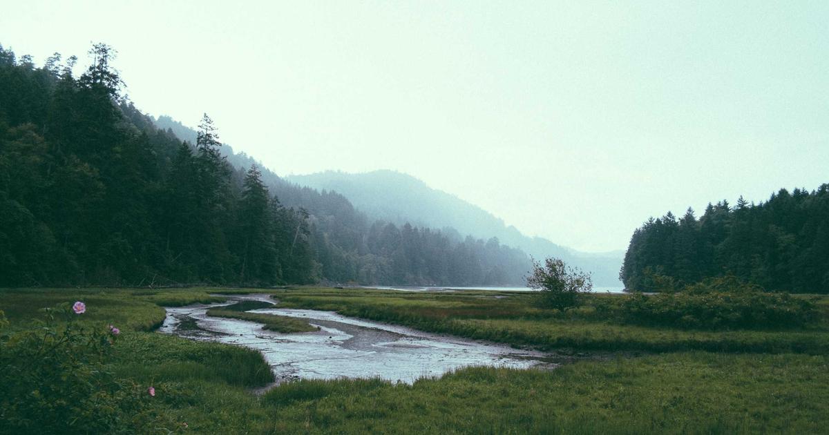 5 Ways to Use Chase Points on Vacation (Beyond Flights and Hotels)