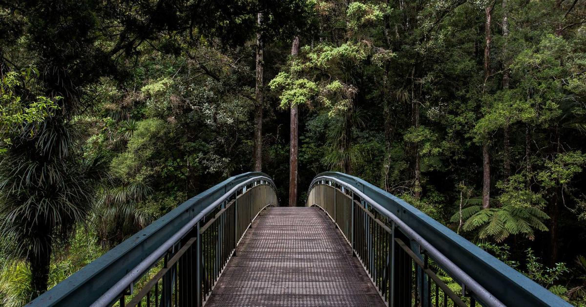 Compression Socks: The Ultimate Travel Essential You Didn't Know You Needed
