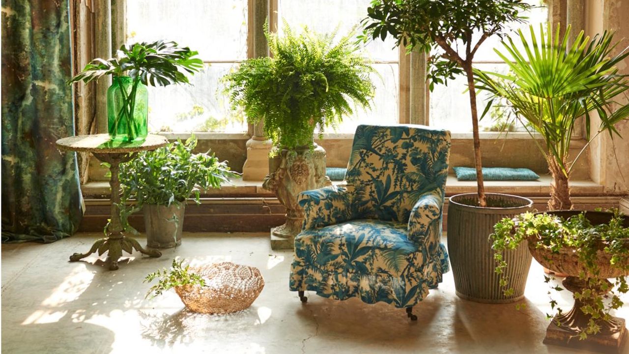 Interior Designers Swear by These 5 Tricks to Layer Houseplants for a Lush Indoor Jungle in Your Living Room