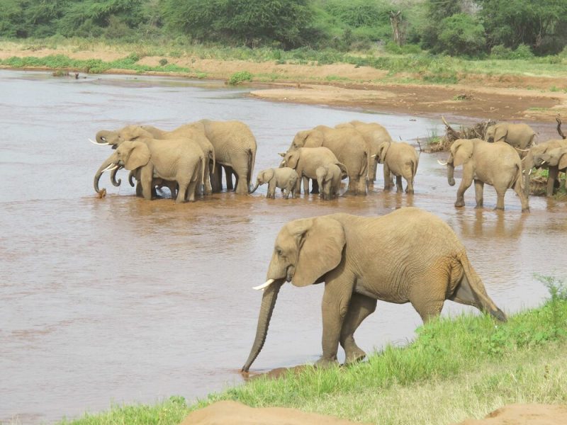 Watering Hole Attacks Push ScanBox Keylogger: Inside the TA423 APT Campaign