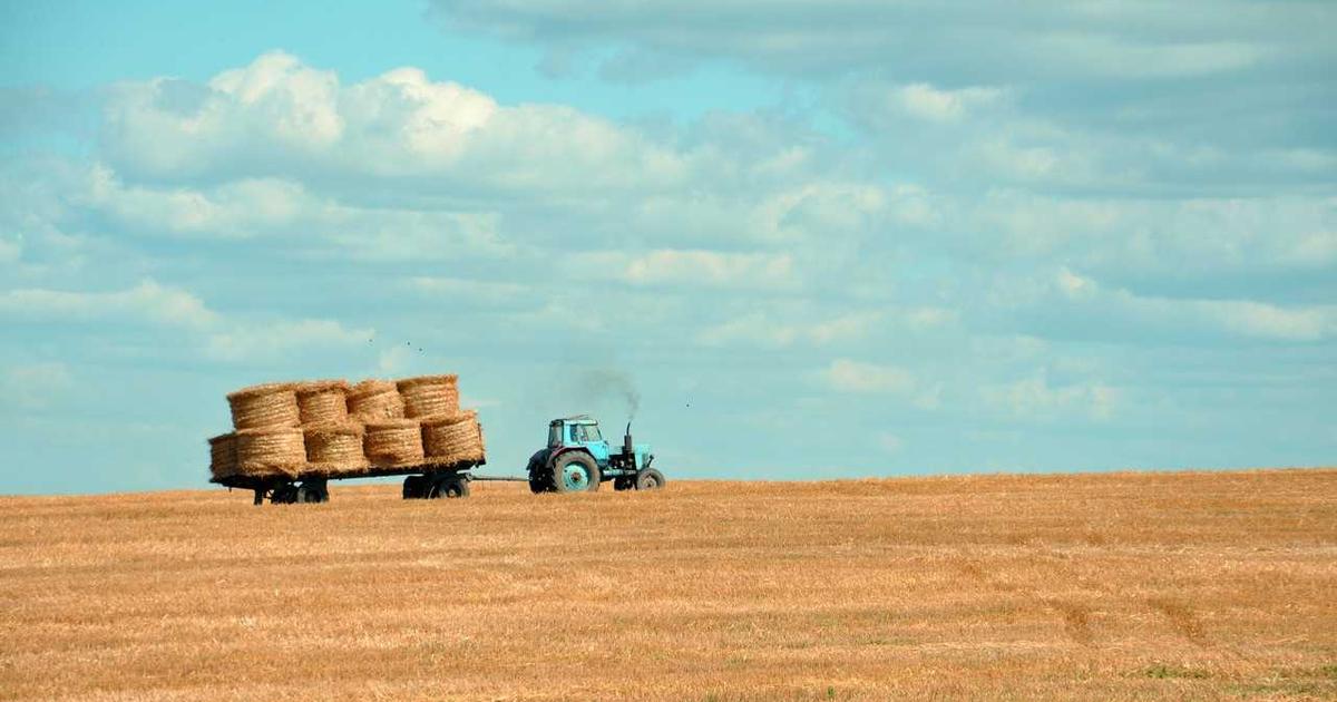 AMD Radeon RX 9070 GRE Review: Is $549 Worth It in 2025?