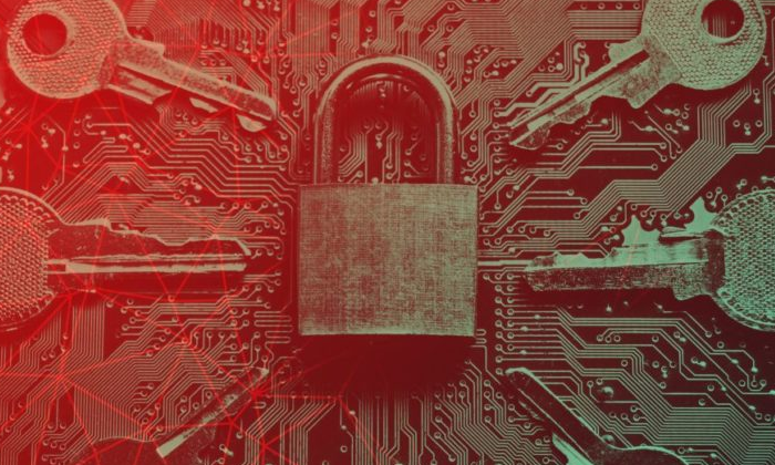 Ransomware Attacks Are on the Rise: What You Need to Know in 2024