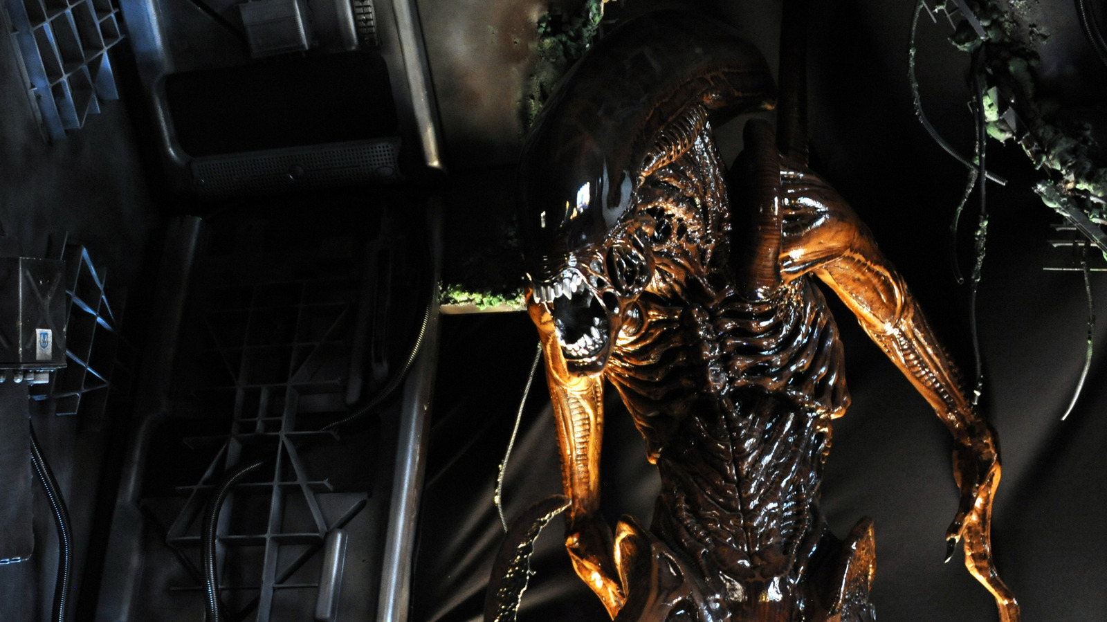 5 '80s Sci-Fi Horror Movies That Still Terrify Us