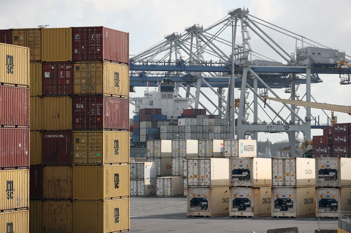 New Zealand Primary Exports Seen Slower After Stellar 2026 Gain