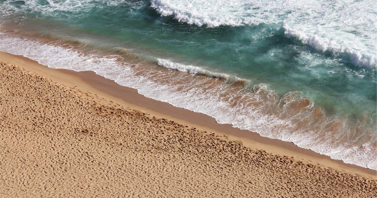 Buoyant eXp UK Hits New Self-Employed Agent Milestone: What It Means for the Future of Real Estate