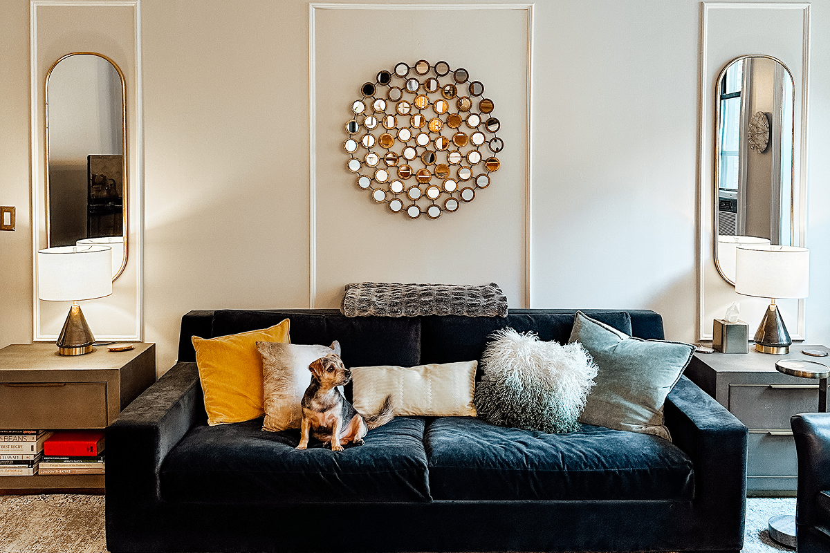 The Complete Guide to Finding Pet-Friendly Apartments in NYC