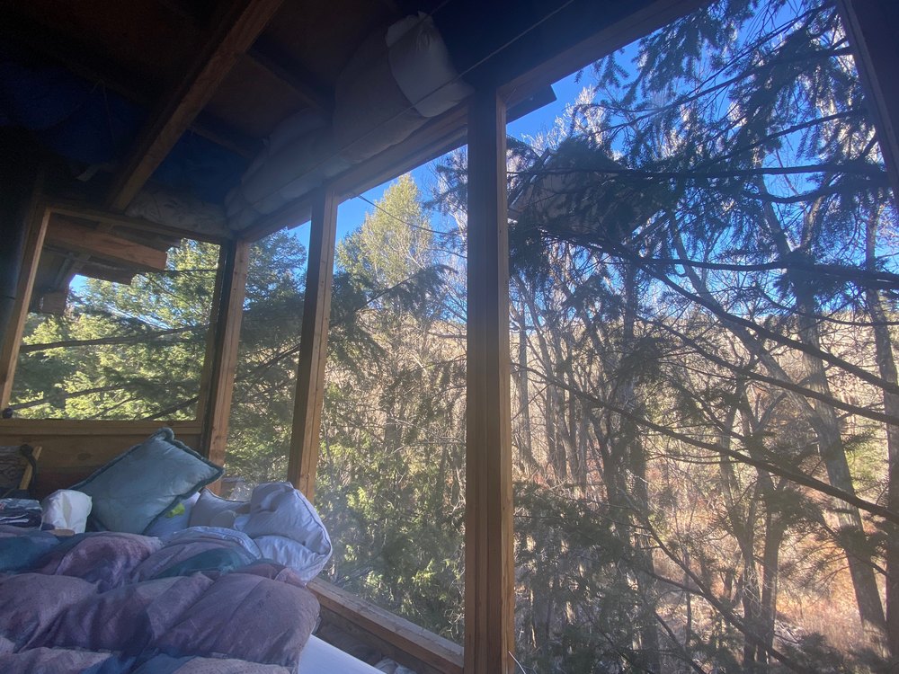 Aspen Treehouse Dweller Faces County Lawsuit Over His Nontraditional Home