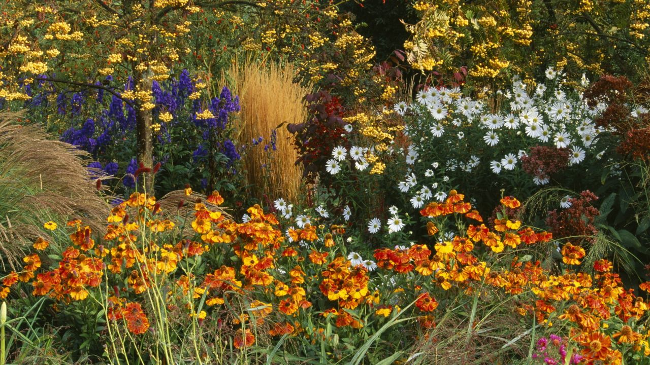 7 Plants to Pinch Out Now – This 5-Minute June Task Will Reward You With More Flowers All Summer