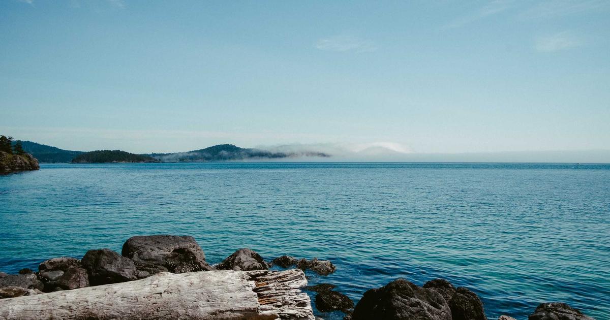 6 New Costco Finds to Buy That'll Keep You Cool This Summer