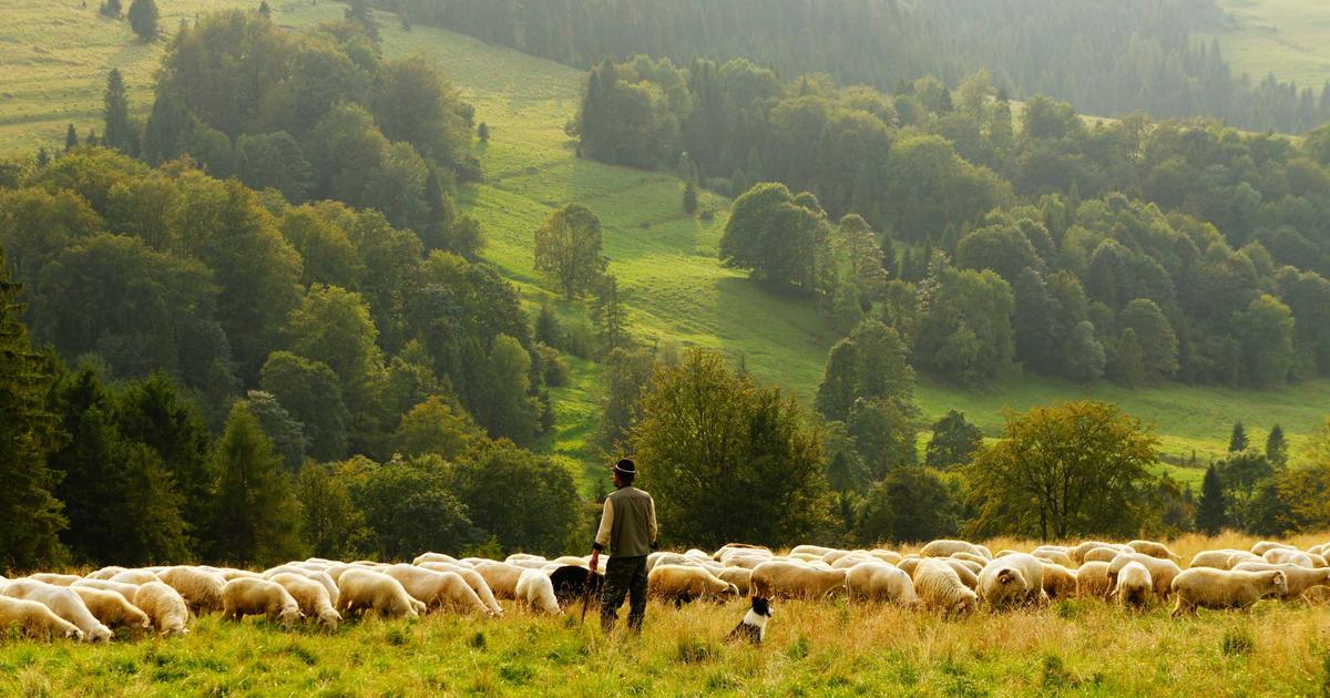 Ein Viertel aller Neuzulassungen: Elektroautos auf dem Vormarsch