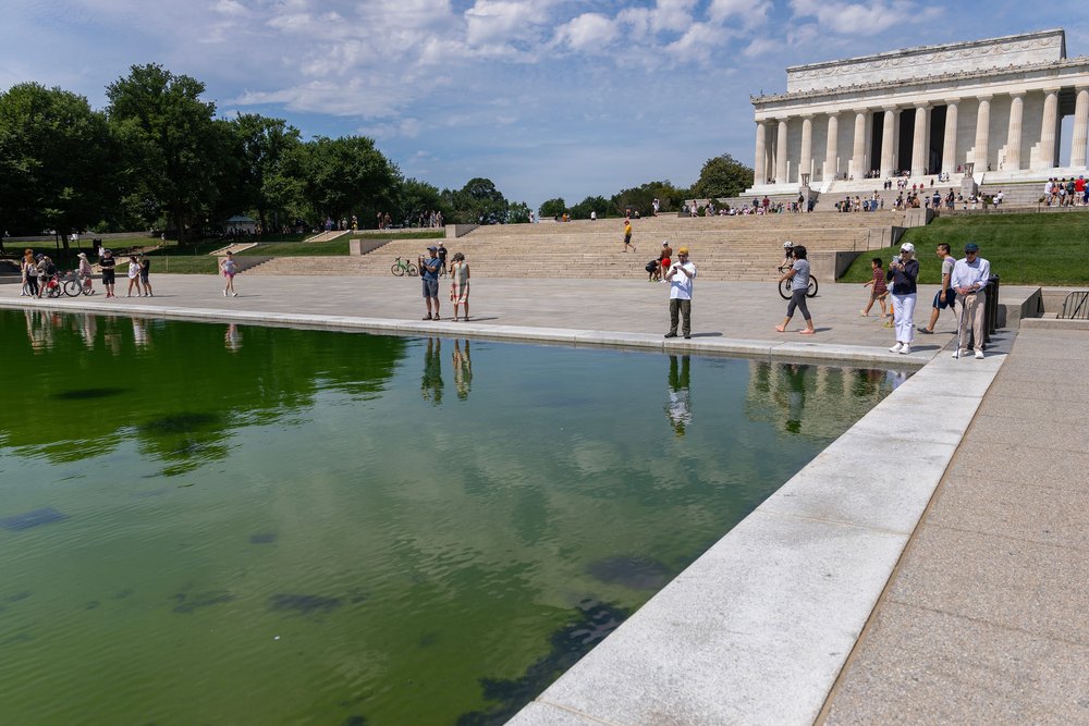 The Lincoln Memorial Reflecting Pool Turned Green. Your Backyard Pool Doesn't Have To.