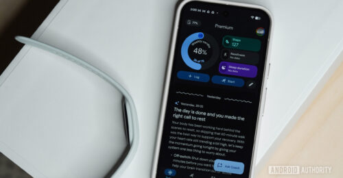 Fitbit's New AI Health Coach: Is Google's Latest Feature Actually Helpful?