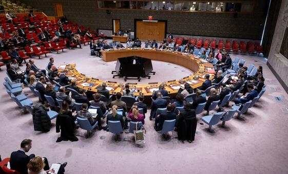 UN Security Council Meets on Central Africa Crisis: Lord's Resistance Army and the Long Road to Peace