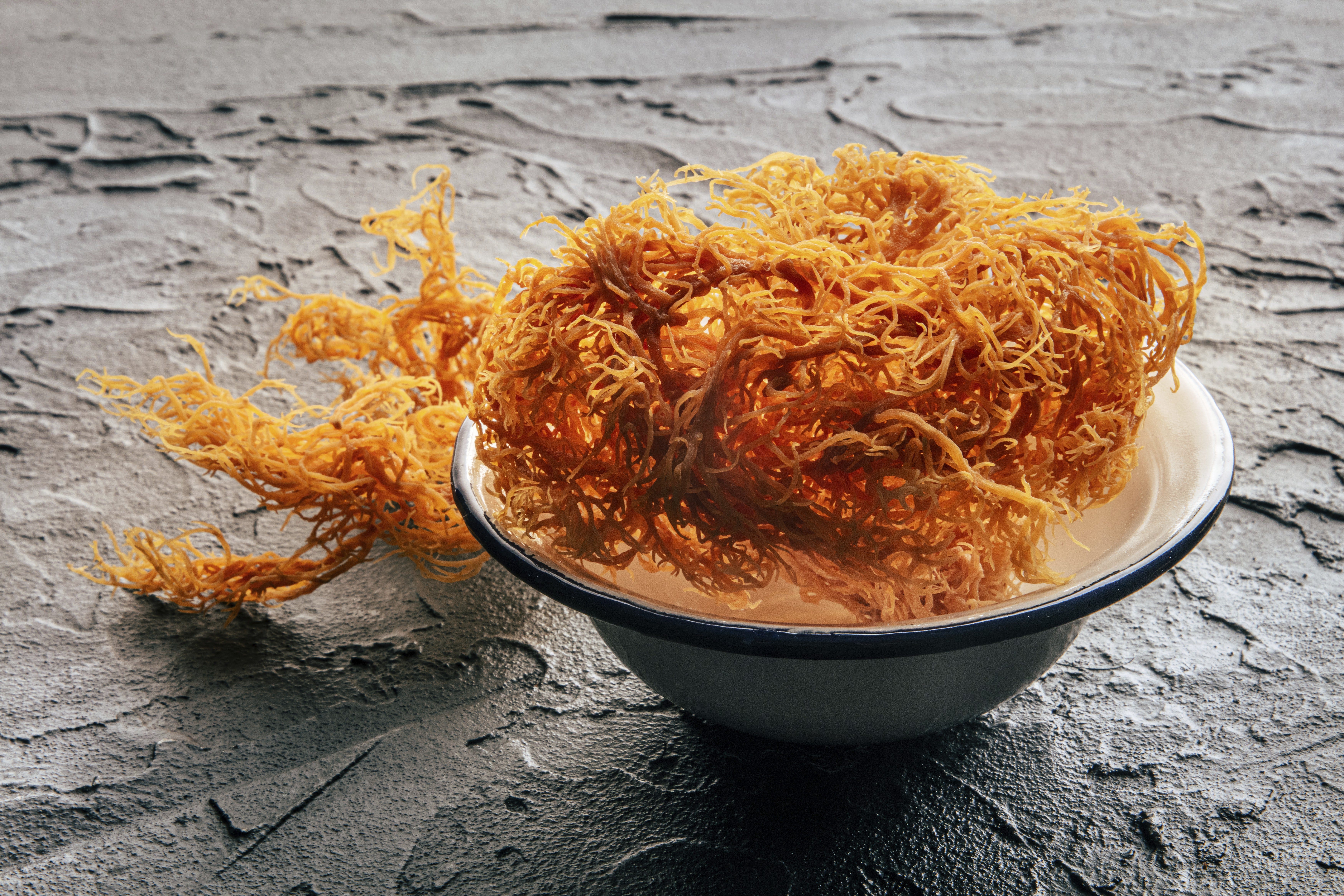 Is Sea Moss Good for You? Experts Separate Fact From Fiction