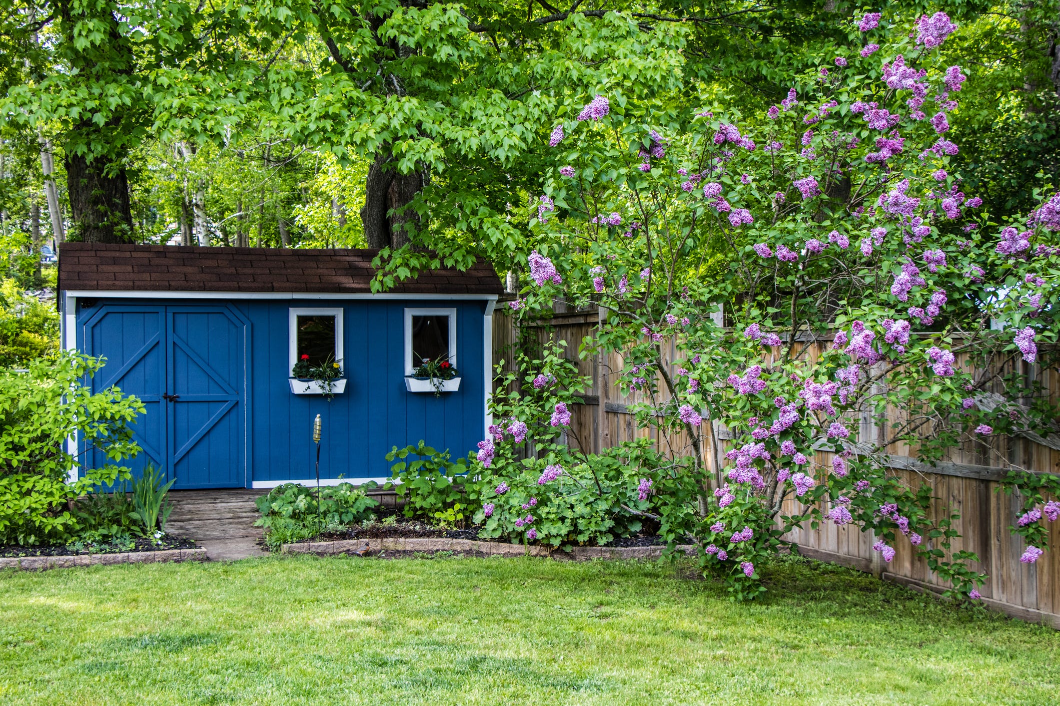 8 Charming She Sheds You Can Buy to Transform Your Backyard