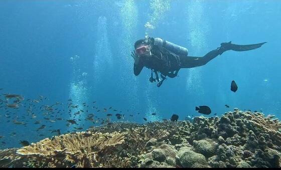 The Ocean Has No Boundaries: Beauty and Life in a War Zone
