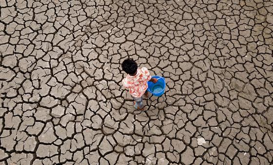Global Temperatures Set to Stay Near Record Levels, UN Weather Agency Warns