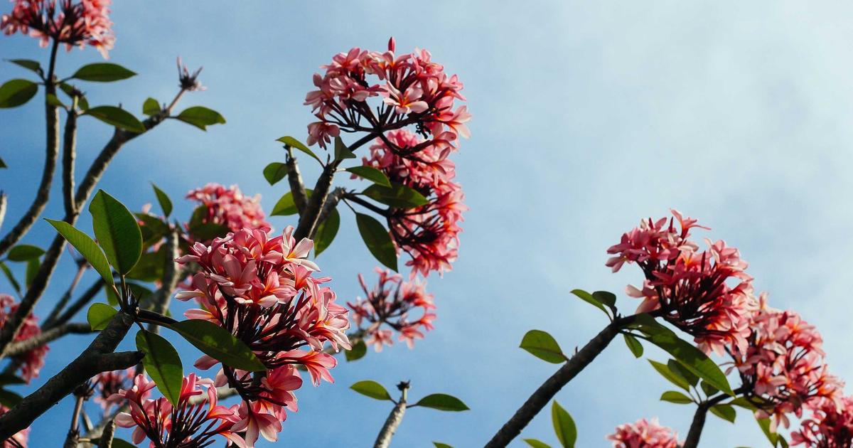 New Singapore KrisFlyer Spontaneous Escapes List: Save 30% On These Awards