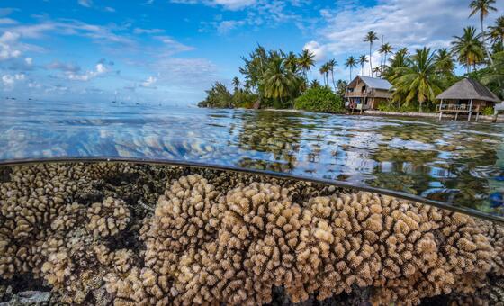 Humanity's Future Depends on Protecting the Rapidly Changing Ocean