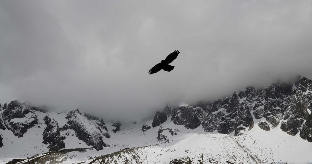 Norse Atlantic Airways Offers Dirt-Cheap Tickets. There's a Catch