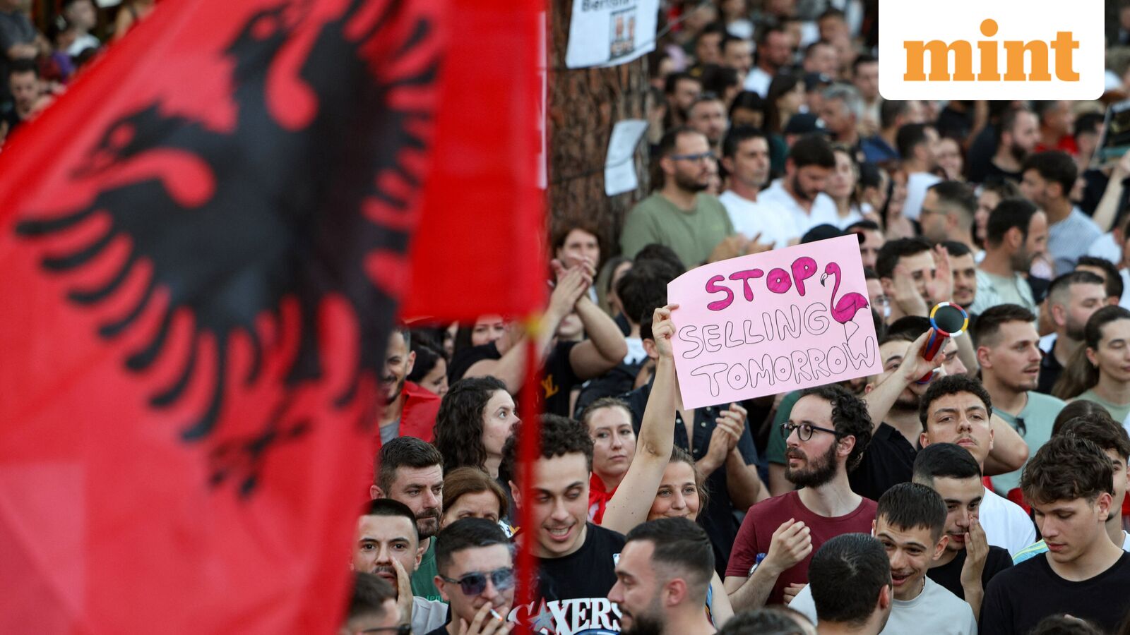 Albanians Rise Up: Massive Protests Against Jared Kushner's $1.6 Billion Resort Near Flamingo Habitat