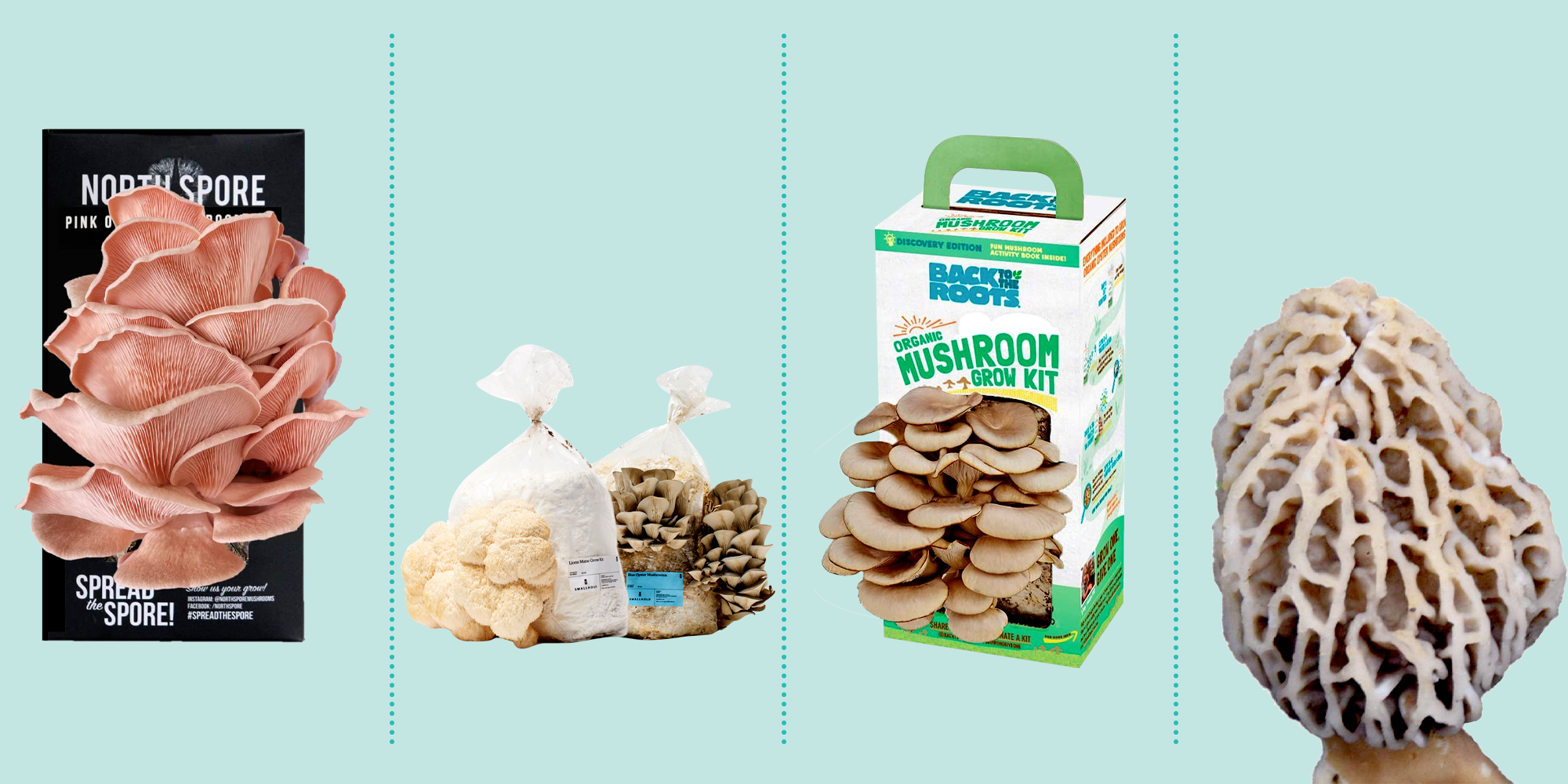 The Best Mushroom Growing Kits to Expand Your Veggie Garden