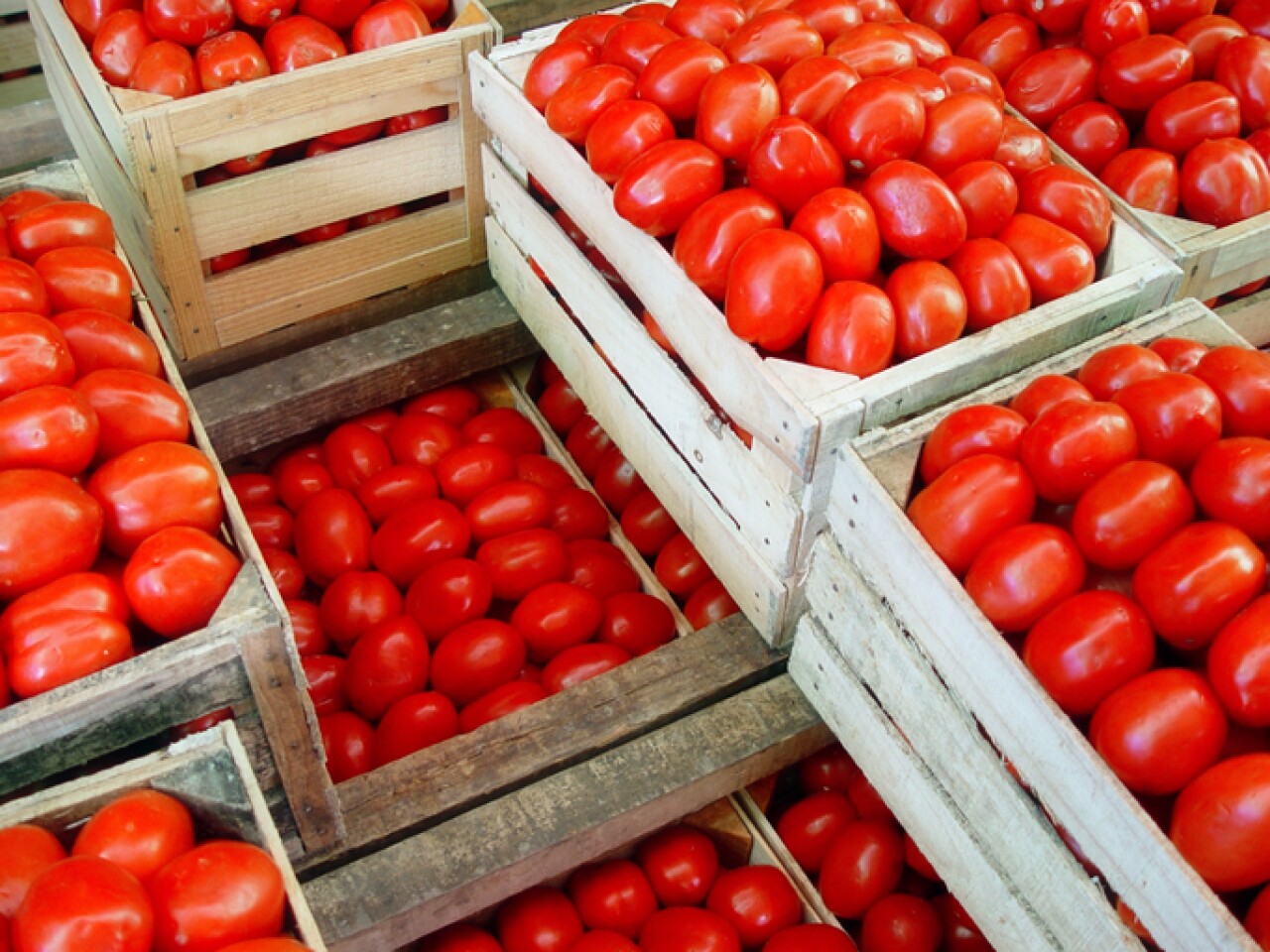 160 Agrifood Organizations from Mexico, Canada, and the US Unite to Defend USMCA