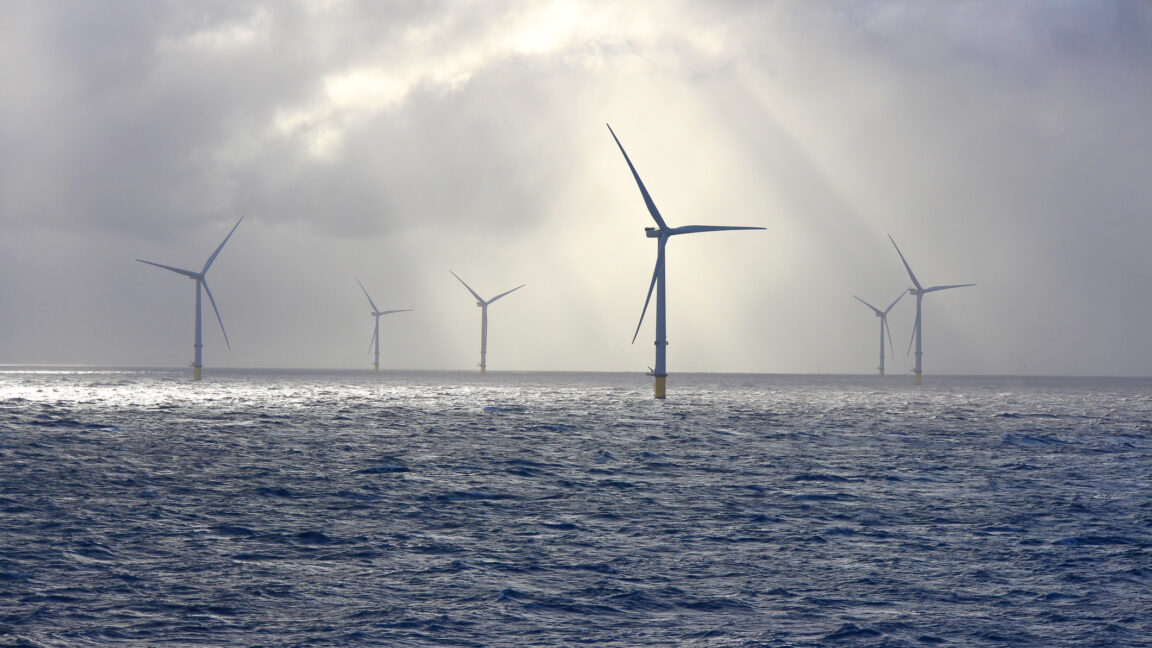 Trump Administration Abandons Wind Energy Fight as Clean Energy Output Surges