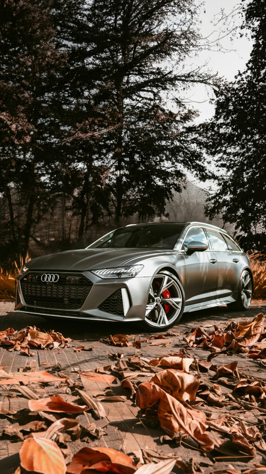 Gmoplus Auto Fokus: Eine KI-Infrastruktur, die Kundenservice, Callcenter und den operativen Arbeitsaufwand vollständig eliminiert.